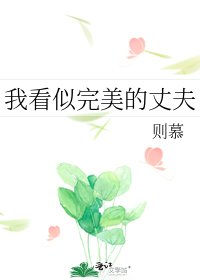 我看似完美的丈夫